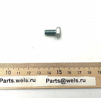 Болт М6х12 WELS EVO125 N1 (259416004001)